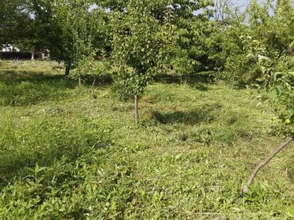 Земельна ділянка Хотин