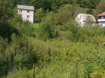 Земельна ділянка. Хуст. Закарпатська область. Хуст