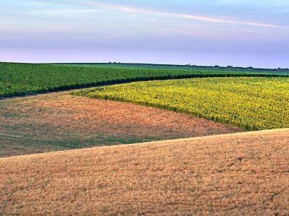 Пашня 1000Га по 1800 уе за Гектар