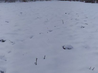 Земельна ділянка