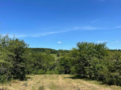 Продам ділянку в лєзнєво з дачним будиночком в хорошому місці Хмельницкий