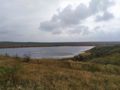 Продам земельну ділянку в Кошарах