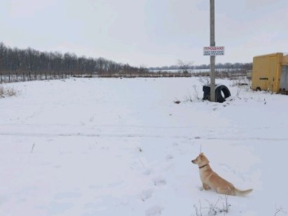 Земельна ділянка 15 соток Іванківці вул.Травнева 10 Хмельницький