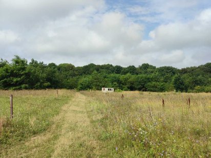 Продаж земельної ділянки Видрові доли SL