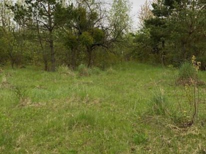 Продаж земельної ділянки 2 га Чудова інвестиція!