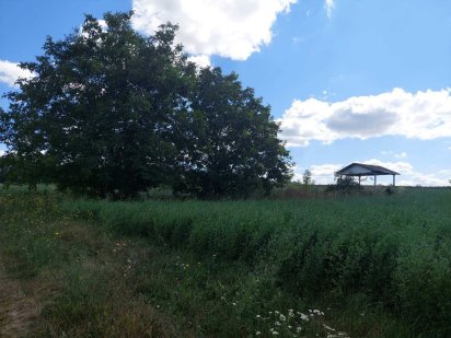 Продається земельна ділянка в м. Бар 5180