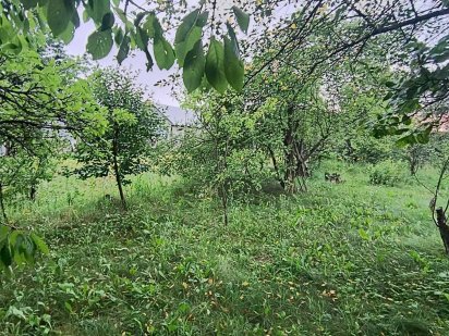 Продаж земельної ділянки Лезневе 7,6 сот.