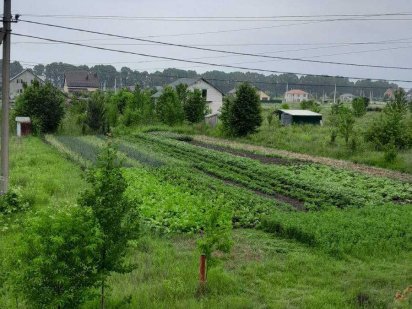 Продам ділянку (8387) Агрономичное