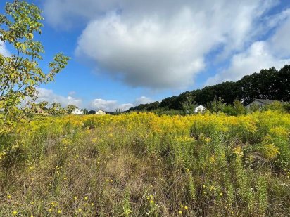 Продаж ділянки на Перемичці! Класне місце.