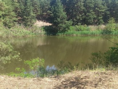 Ділянка Переяслав Стовпяги неподалік від центрального пляжу Переяслав-Хмельницький