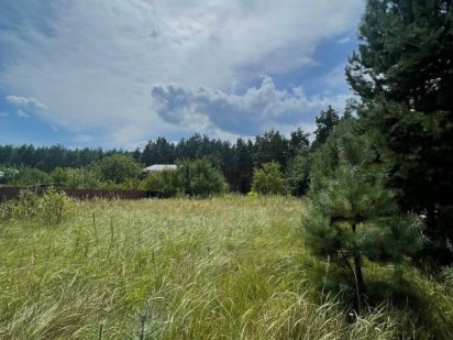 Ділянка з видом на ліс СТ Райдуга Переяслав-Хмельницький