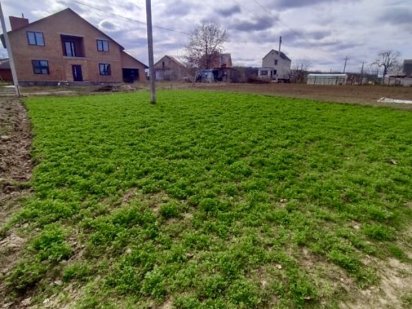 Продам 3 сот під сільське госп. в Березина Березина