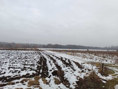 (7) Продам земельну ділянку в Березина 5434 Березина