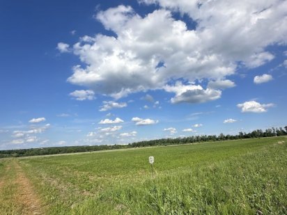 Земля 93с Березина Березина