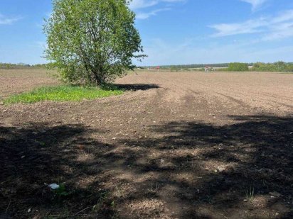 Продам земельну ділянку с. Березина