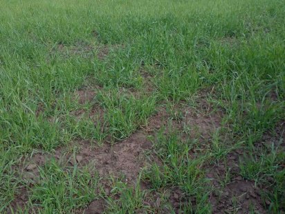 Терміново продам земельну ділянку район за книжківцями Хмельницький