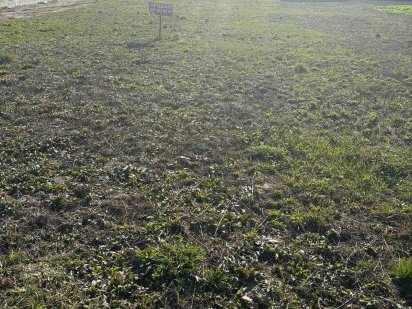 (3) Продам земельну ділянку на Вінницьких Хуторів 0691 Вінницькі Хутори