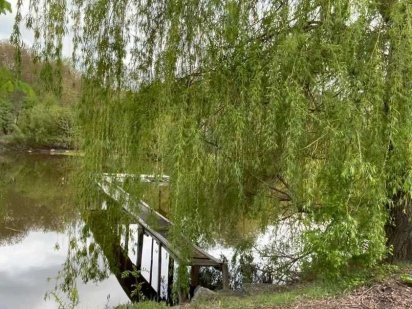 Продається земеьна ділянка  с. Вінницькі Хутори 2486