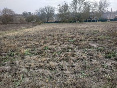 Участок 8 соток ривний. Писаревка.