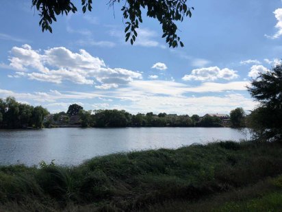 Продам ділянку на Вінницьких Хуторах  (8387) Винницкие Хутора