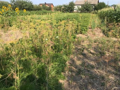 5 соток на Вінницьких Хуторах. Газ, електрика. 2 хвилини - озеро, ліс. Винницкие Хутора