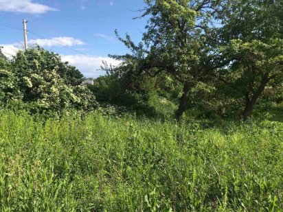 Земельна ділянка 16,75 соток у Вінницькі хутора. Газ, світло, асфальт.