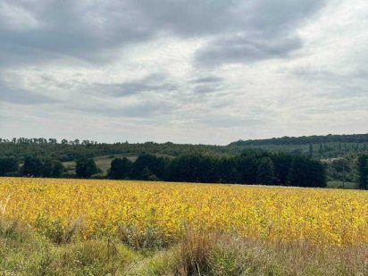 Продаж земельної ділянки 2 га, чудова інвестиція