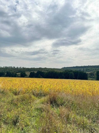 Продаж земельної ділянки 2 га, чудова інвестиція - фото 1