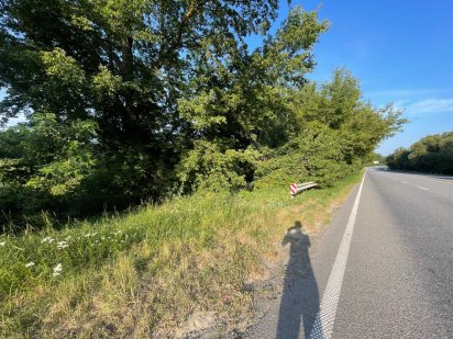 Земля, що працює на вас: 6 соток для максимального прибутку! HH Хмельницький