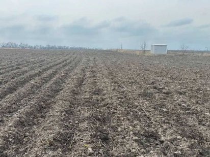 Лісові Гринівці земельна ділянка Хмельницький