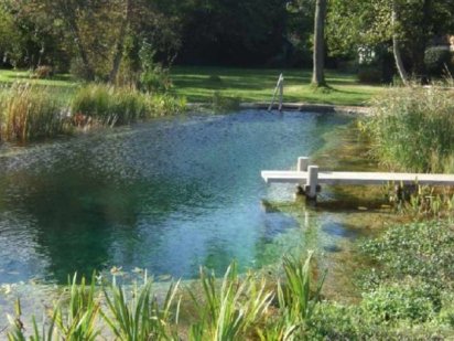 Ділянка землі в Стрижавці Стрижавка