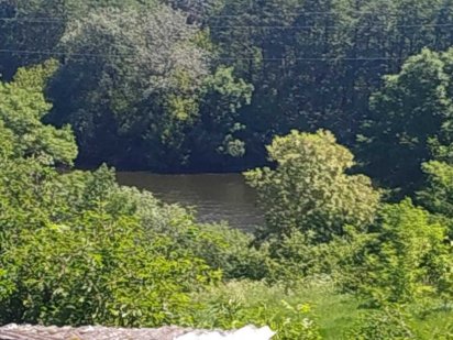 (7) Продам земельну ділянку на Стрижавці 7731 Стрижавка