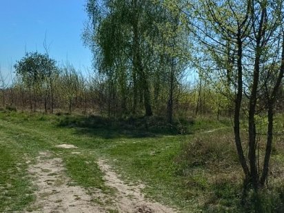 Продам земельну ділянку в районі Стрижавки Стрижавка