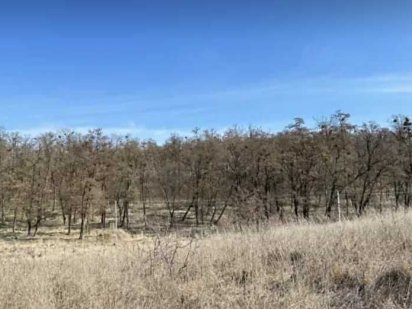 Продам велику ділянку у передмісті Вінниці Зарванцы