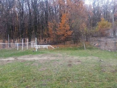 (7) Продам земельну ділянку в Стрижавці 7731 Стрижавка