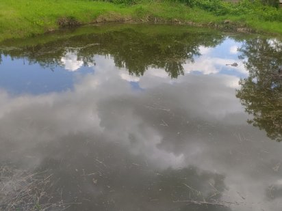 Продам участок 10соток Зарванцы