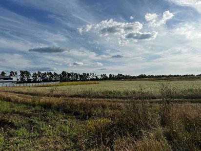 (5)   Продам ділянку в смт. Стрижавка  8116 Стрижавка