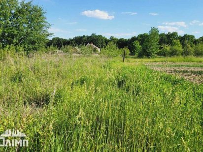 Продається земельна ділянка в с. Зарванці 8686