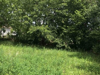 Продам ділянку, Некрасове. 10сот Зарванцы