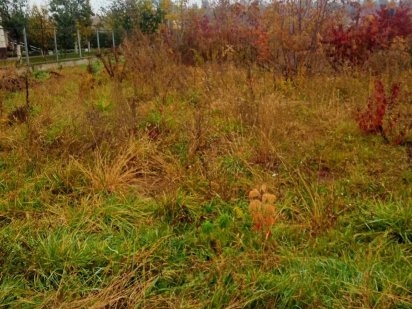 Продам ділянку під житлову забудову Зарванці вулиця Макаренка! Зарванцы