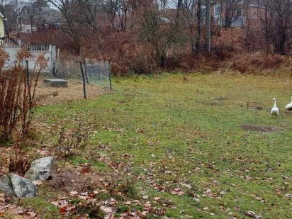 (5)   Продам земельну ділянку в смт. Стрижавка 4422 Стрижавка