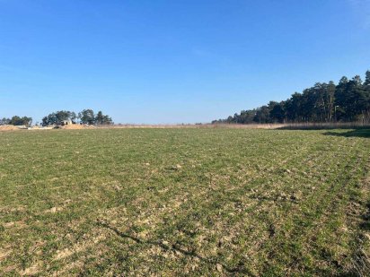 Продається ділянка в Стрижавці