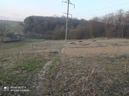 Зарванці(ближні) , вулиця Лісна ,Земельна ділянка 30 соток,або поділ Зарванцы