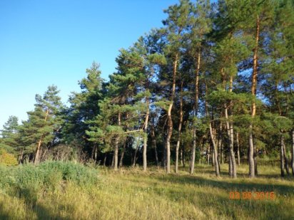 Земельна ділянка 1 га в місті Гайсин, земля Вінницька область участок