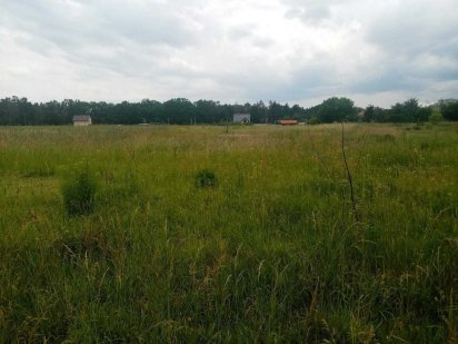 (7) Продам земельну ділянку в Стрижавці 7731 Стрижавка