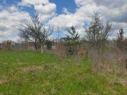 Продається земельна ділянка в с. Зарванці 8614