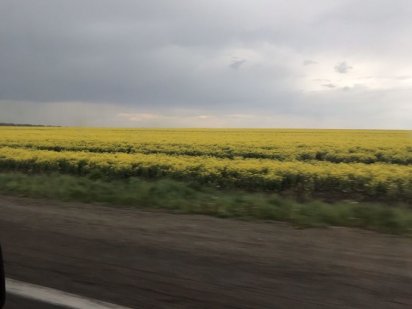 Земля під будівництво Гайсин