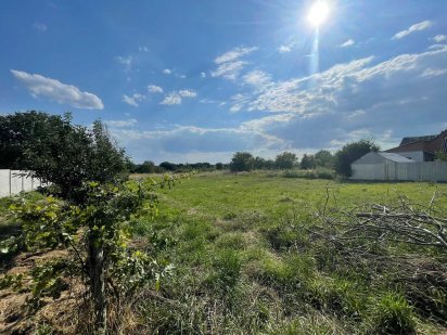 (5)   Продам земельну ділянку в с. Зарванці  4624 Зарванці