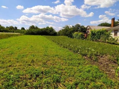 Продам земельну ділянку Немиров