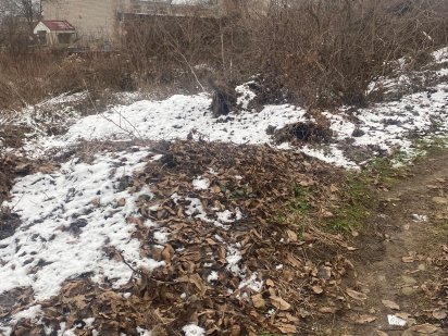 Продається земельна ділянка Ладыжин